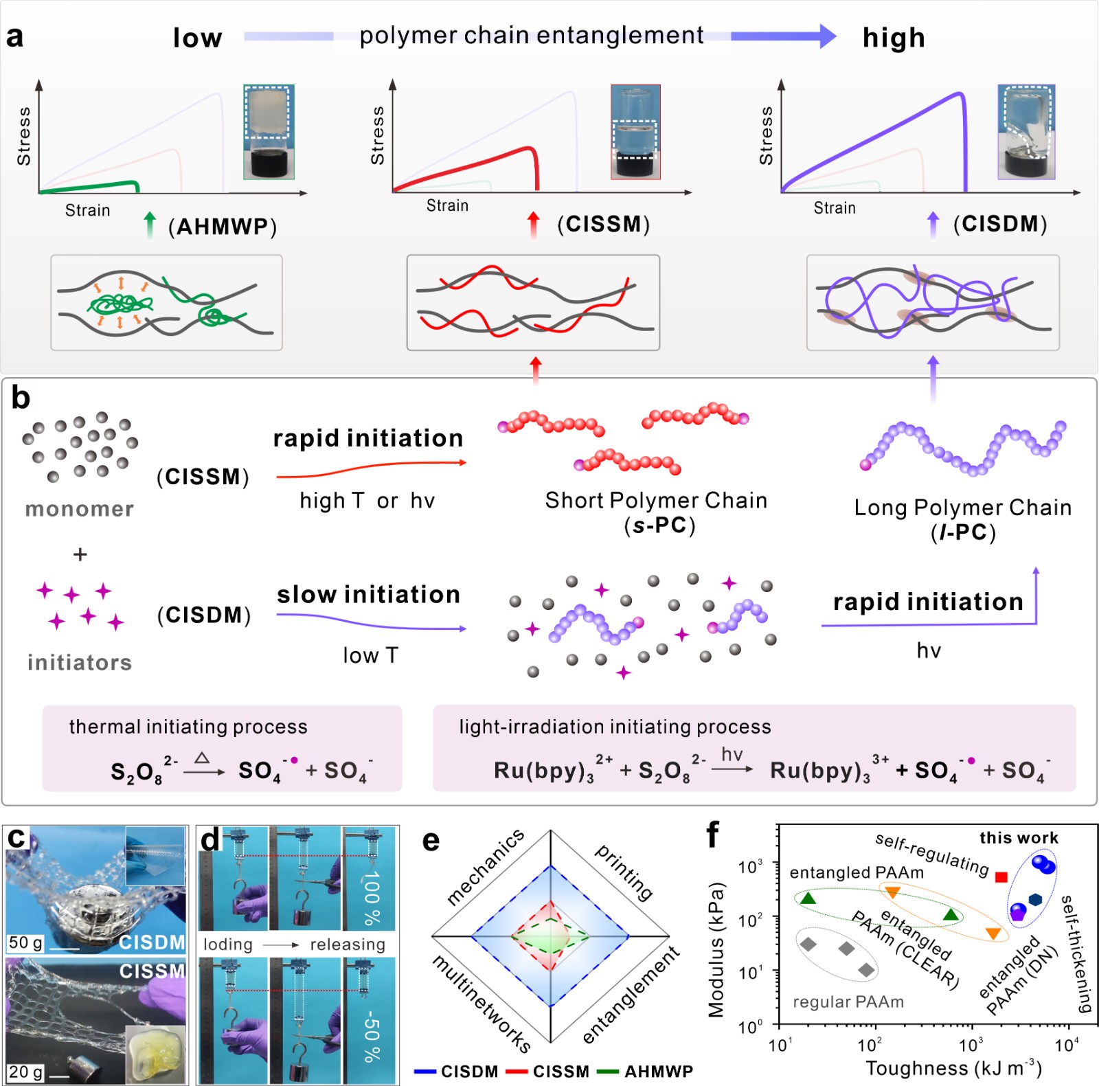 Figure 1-revised.jpg