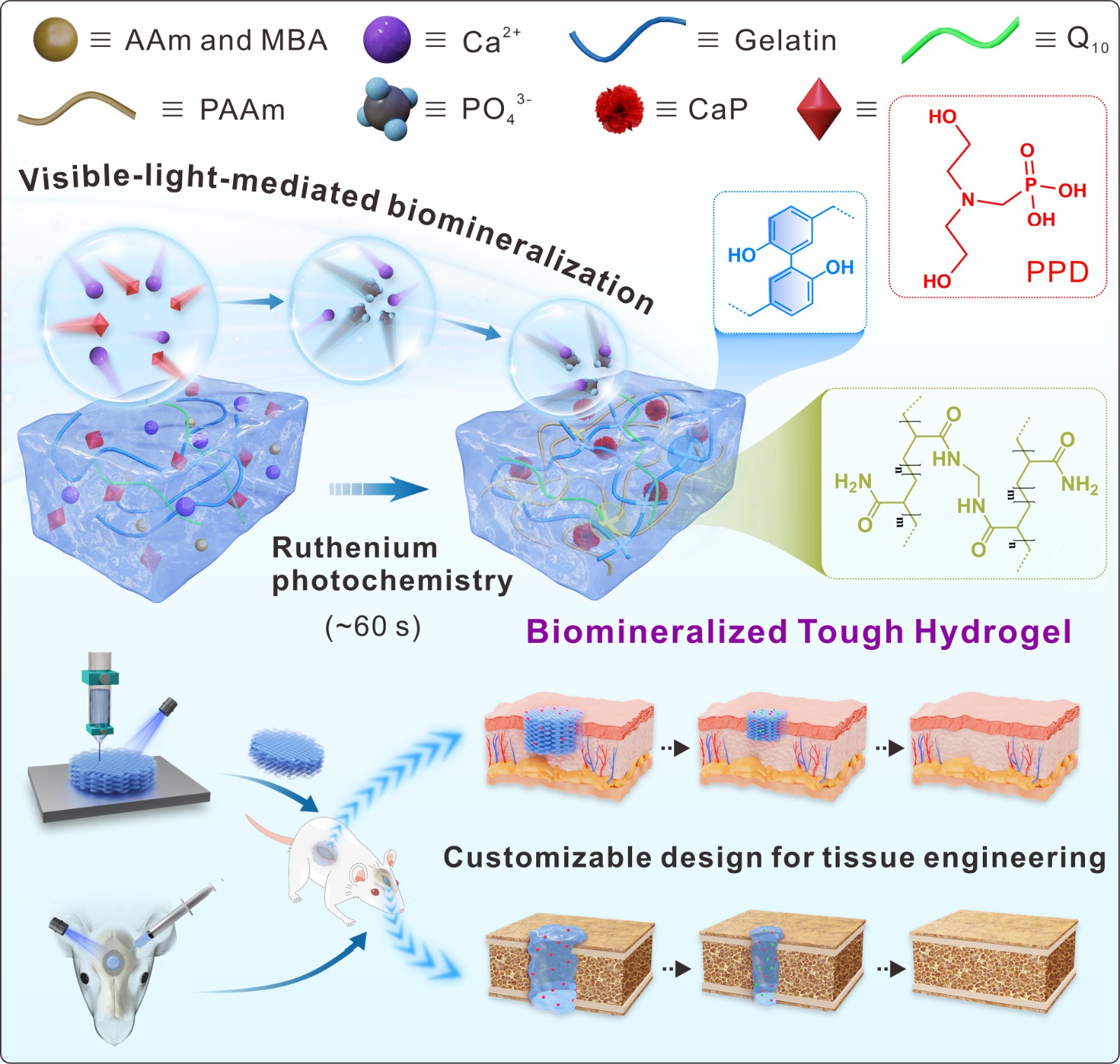 Figure 1 - 副本.jpg